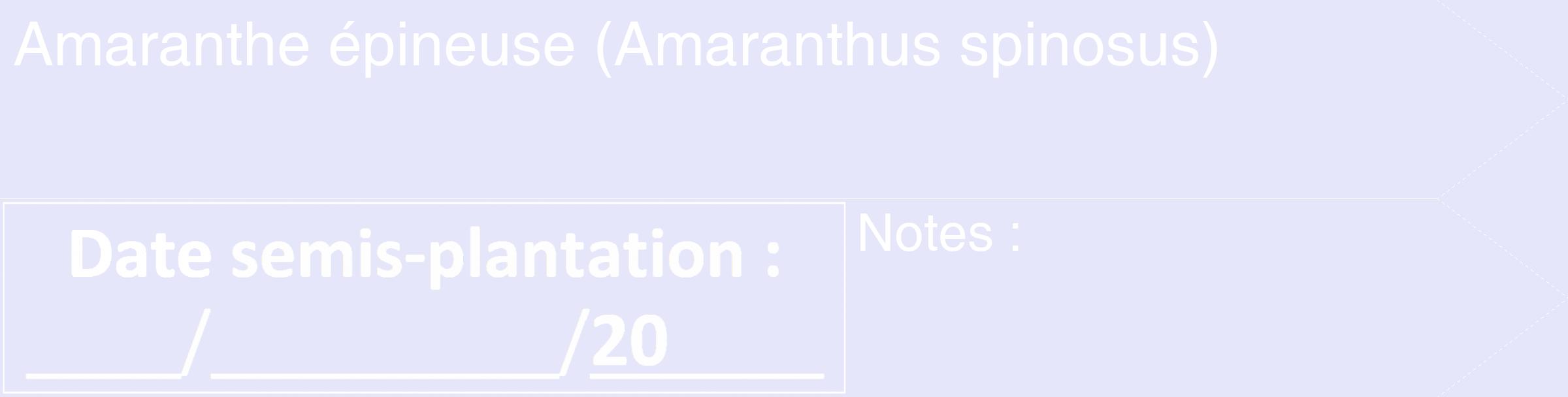 Étiquette de : Amaranthus spinosus - format c - style blanche55_simple_simplehel avec comestibilité