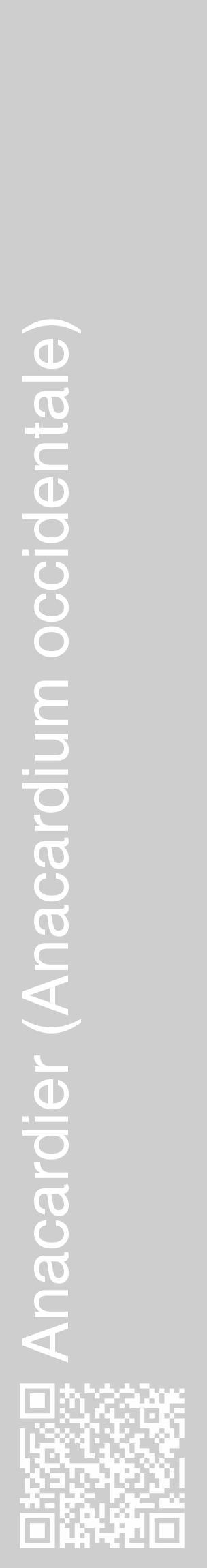 Étiquette de : Anacardium occidentale - format c - style blanche17_basique_basiquehel avec qrcode et comestibilité - position verticale