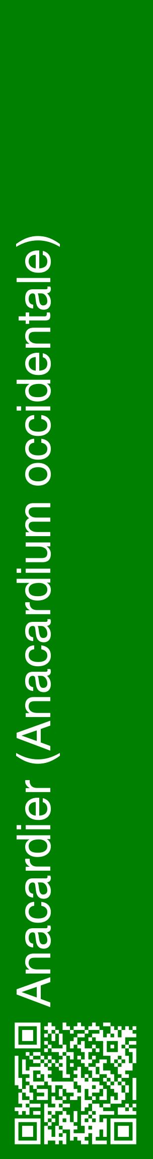Étiquette de : Anacardium occidentale - format c - style blanche9_basiquehel avec qrcode et comestibilité