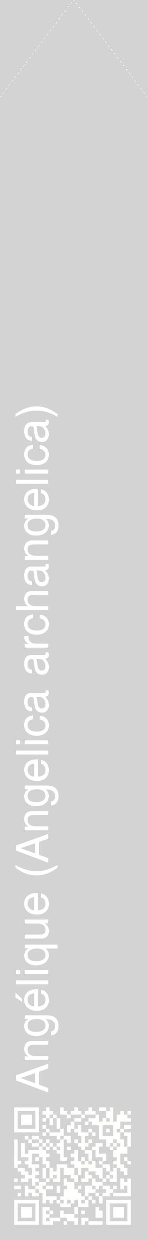 Étiquette de : Angelica archangelica - format c - style blanche56_simplehel avec qrcode et comestibilité