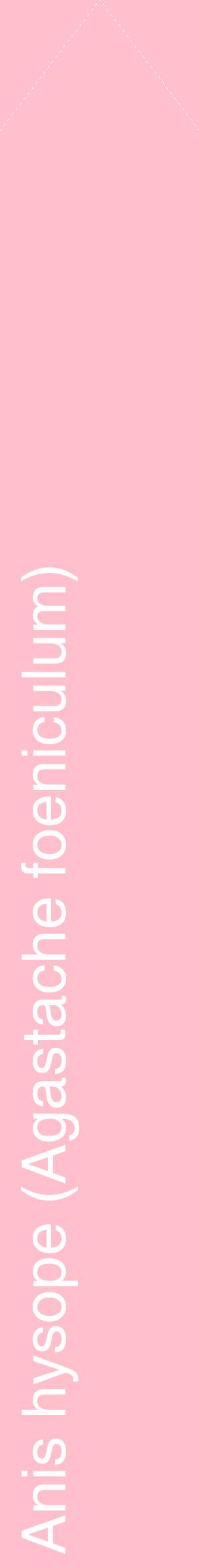 Étiquette de : Agastache foeniculum - format c - style blanche40_simplehel avec comestibilité