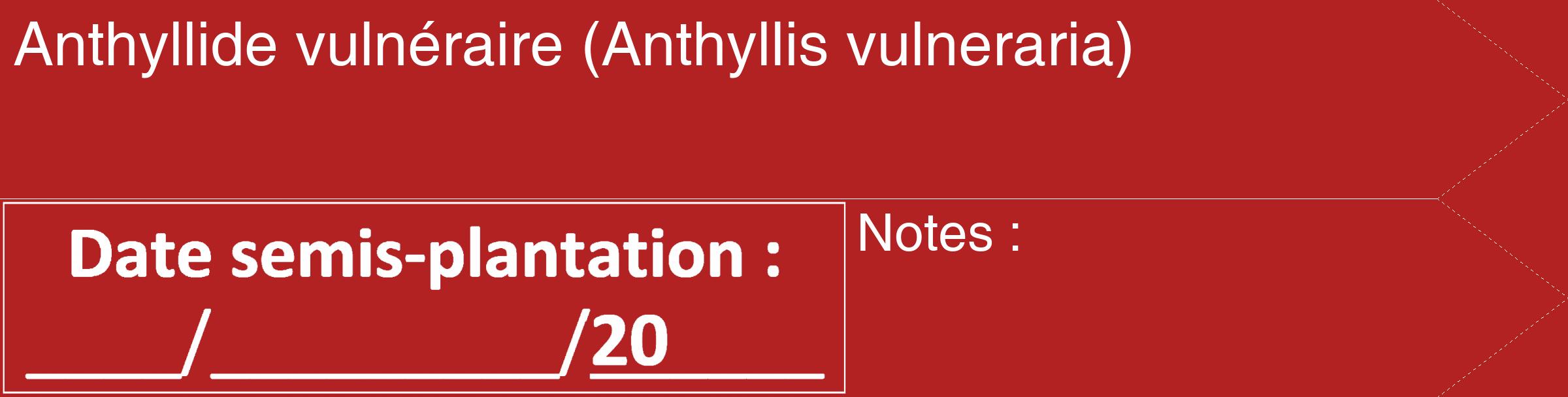 Étiquette de : Anthyllis vulneraria - format c - style blanche28_simple_simplehel avec comestibilité