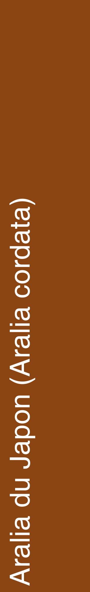Étiquette de : Aralia cordata - format c - style blanche30_basiquehel avec comestibilité
