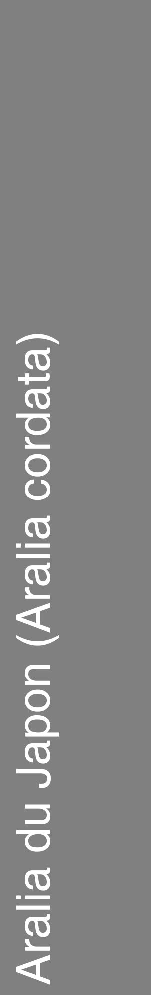 Étiquette de : Aralia cordata - format c - style blanche57_basiquehel avec comestibilité