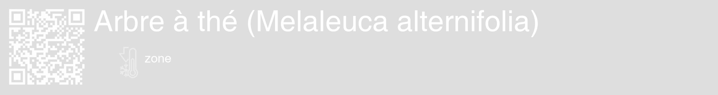 Étiquette de : Melaleuca alternifolia - format c - style blanche20_basique_basiquehel avec qrcode et comestibilité
