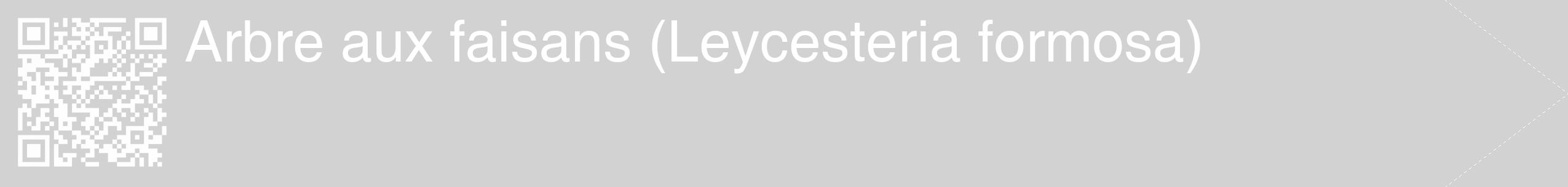 Étiquette de : Leycesteria formosa - format c - style blanche14_simple_simplehel avec qrcode et comestibilité