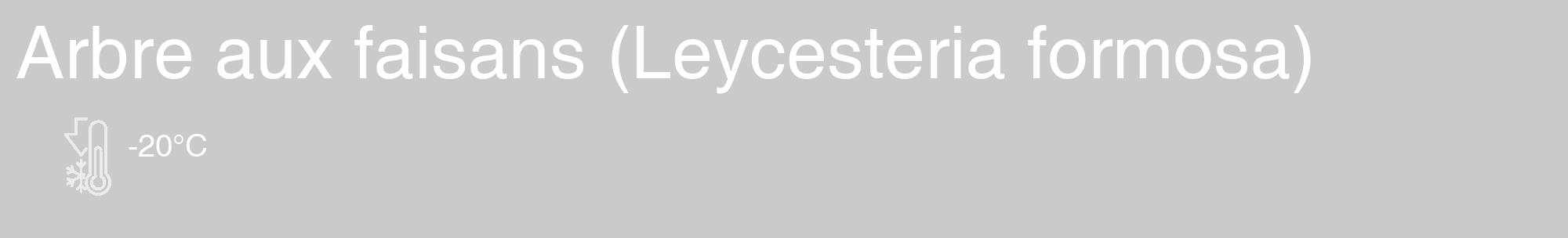 Étiquette de : Leycesteria formosa - format c - style blanche21_basique_basiquehel avec comestibilité