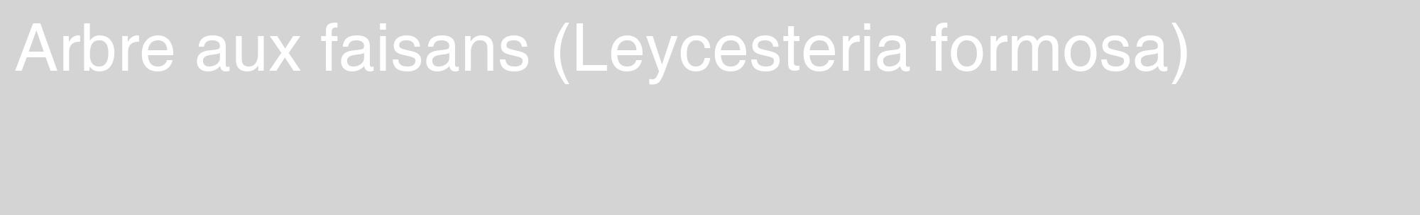 Étiquette de : Leycesteria formosa - format c - style blanche40_basique_basiquehel avec comestibilité