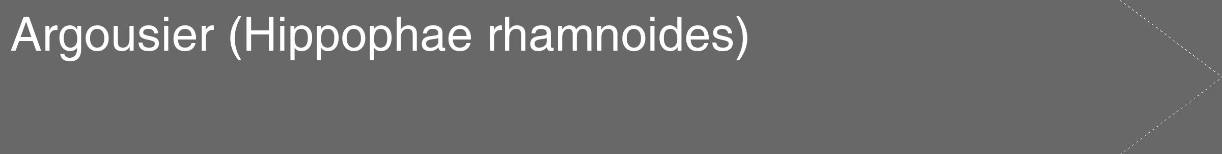 Étiquette de : Hippophae rhamnoides - format c - style blanche6_simple_simplehel avec comestibilité