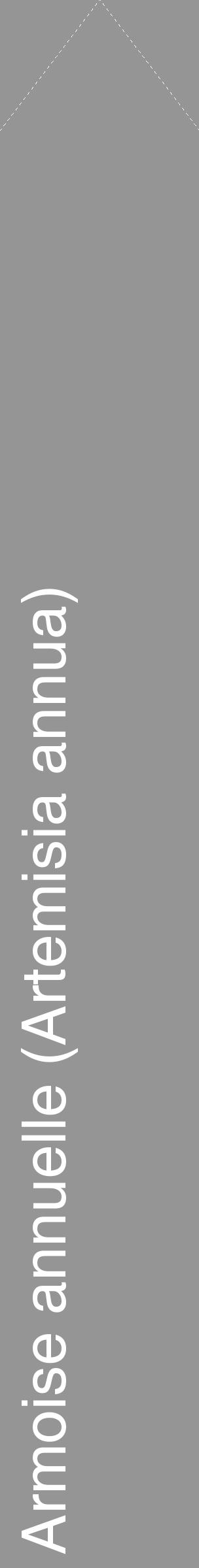 Étiquette de : Artemisia annua - format c - style blanche16_simple_simplehel avec comestibilité - position verticale