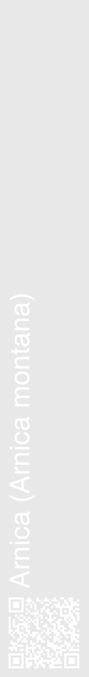 Étiquette de : Arnica montana - format c - style blanche55_basique_basiquehel avec qrcode et comestibilité - position verticale