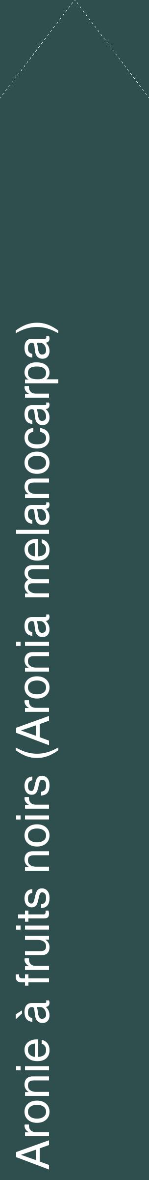 Étiquette de : Aronia melanocarpa - format c - style blanche58_simplehel avec comestibilité