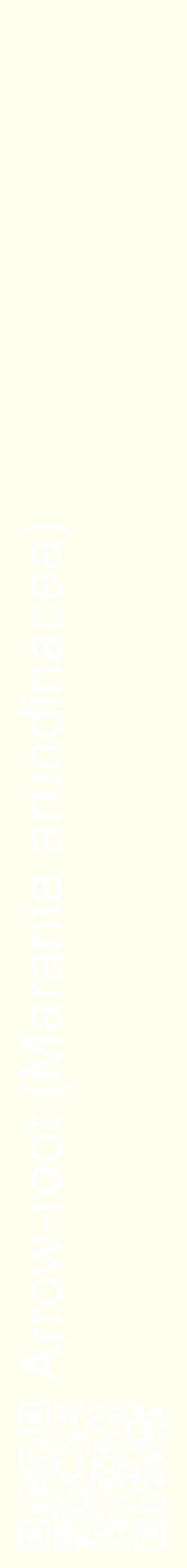 Étiquette de : Maranta arundinacea - format c - style blanche19_simplehel avec qrcode et comestibilité