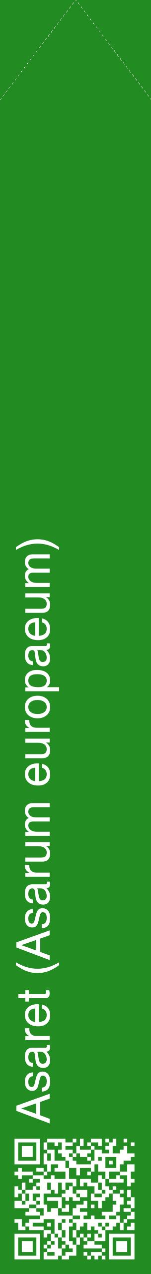 Étiquette de : Asarum europaeum - format c - style blanche10_simplehel avec qrcode et comestibilité