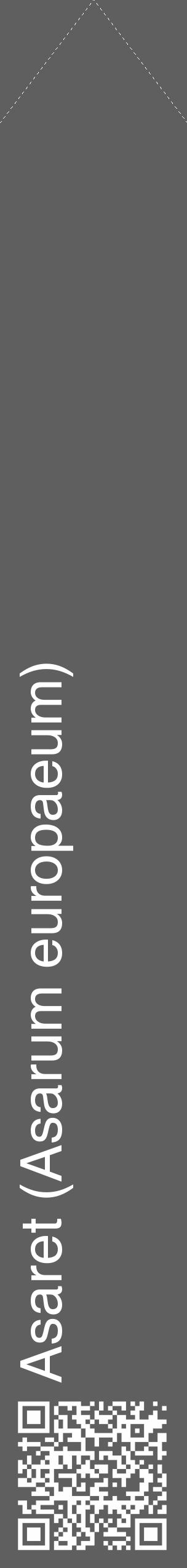 Étiquette de : Asarum europaeum - format c - style blanche10_simple_simplehel avec qrcode et comestibilité - position verticale
