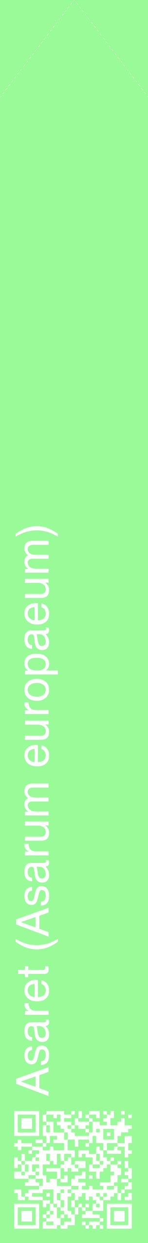 Étiquette de : Asarum europaeum - format c - style blanche14_simplehel avec qrcode et comestibilité