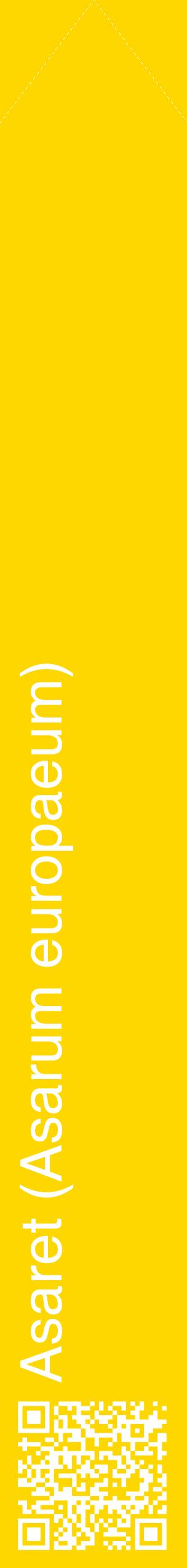 Étiquette de : Asarum europaeum - format c - style blanche21_simplehel avec qrcode et comestibilité