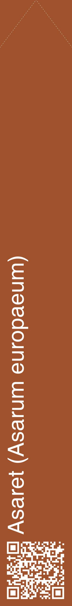 Étiquette de : Asarum europaeum - format c - style blanche32_simplehel avec qrcode et comestibilité