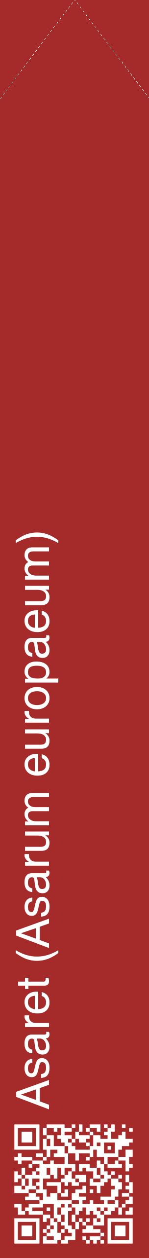 Étiquette de : Asarum europaeum - format c - style blanche33_simplehel avec qrcode et comestibilité