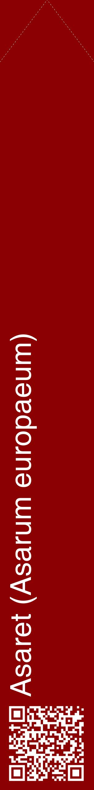 Étiquette de : Asarum europaeum - format c - style blanche34_simplehel avec qrcode et comestibilité