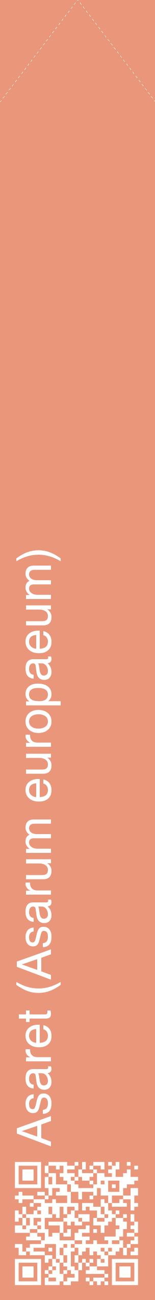 Étiquette de : Asarum europaeum - format c - style blanche37_simplehel avec qrcode et comestibilité