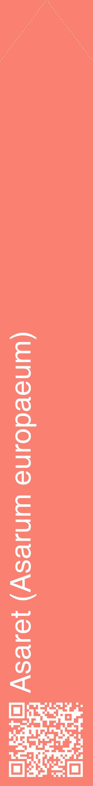 Étiquette de : Asarum europaeum - format c - style blanche38_simplehel avec qrcode et comestibilité