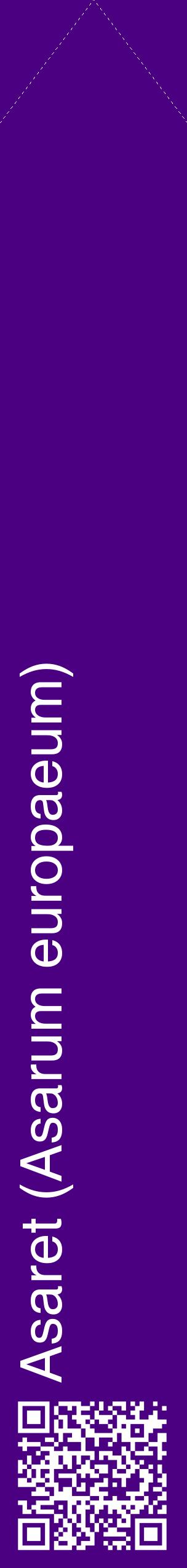 Étiquette de : Asarum europaeum - format c - style blanche47_simplehel avec qrcode et comestibilité