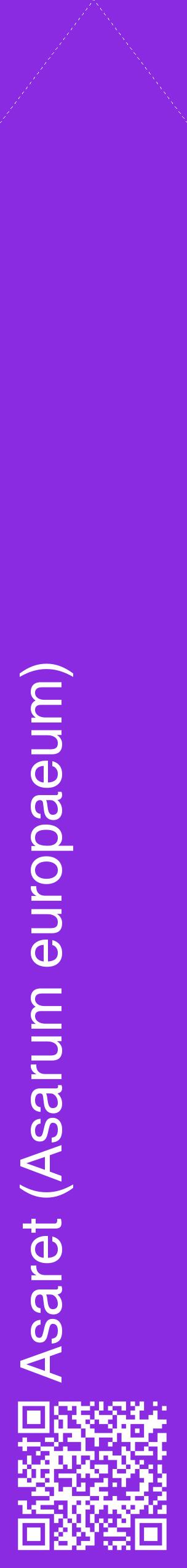 Étiquette de : Asarum europaeum - format c - style blanche49_simplehel avec qrcode et comestibilité