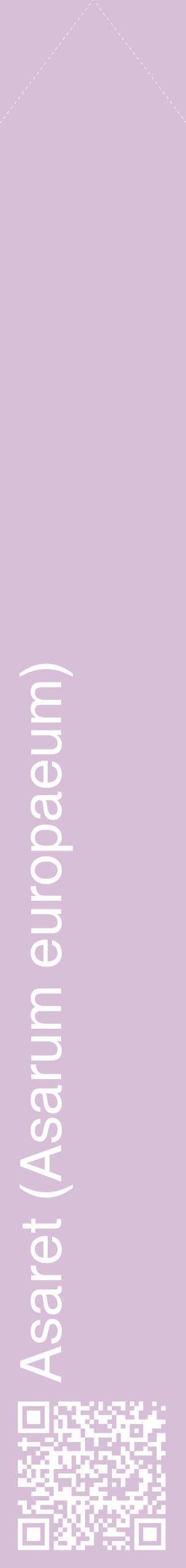 Étiquette de : Asarum europaeum - format c - style blanche54_simplehel avec qrcode et comestibilité