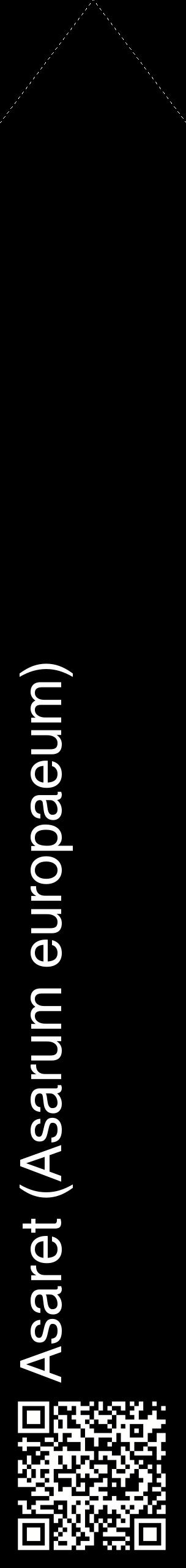 Étiquette de : Asarum europaeum - format c - style blanche59_simplehel avec qrcode et comestibilité