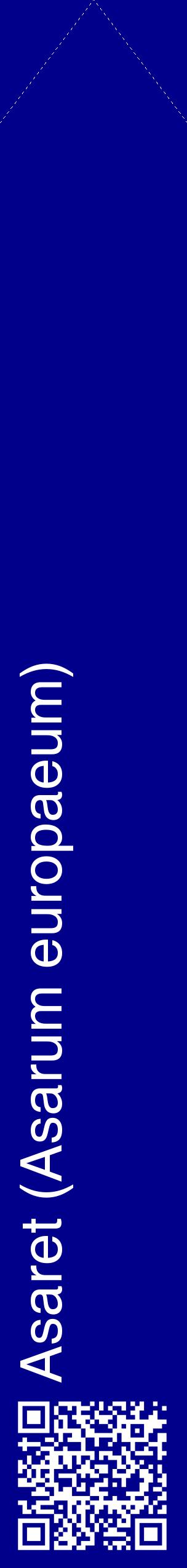 Étiquette de : Asarum europaeum - format c - style blanche7_simplehel avec qrcode et comestibilité
