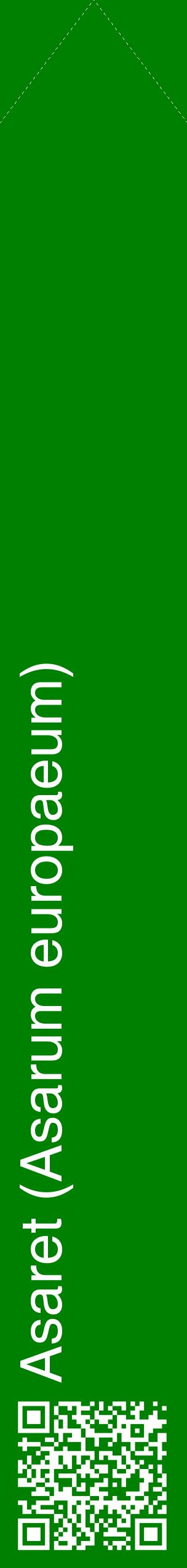 Étiquette de : Asarum europaeum - format c - style blanche9_simplehel avec qrcode et comestibilité
