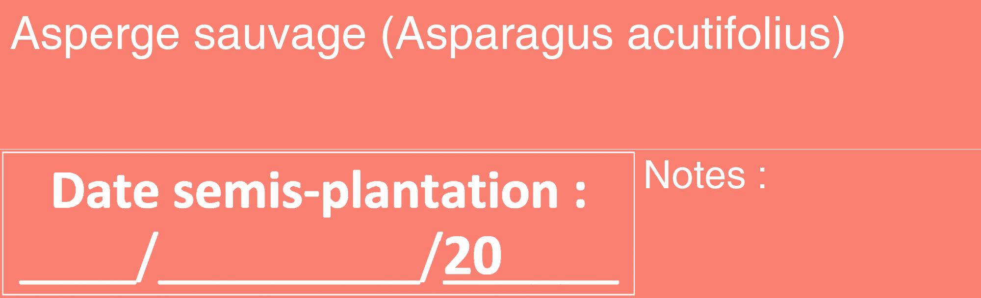 Étiquette de : Asparagus acutifolius - format c - style blanche38_basique_basiquehel avec comestibilité