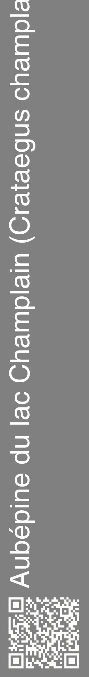 Étiquette de : Crataegus champlainensis - format c - style blanche57_basiquehel avec qrcode et comestibilité