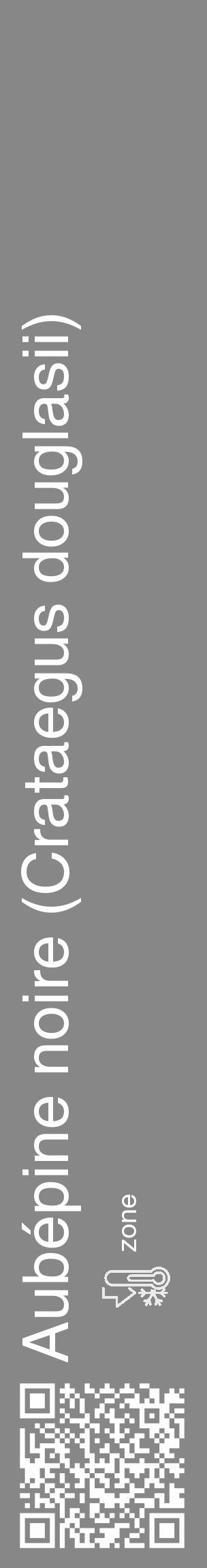 Étiquette de : Crataegus douglasii - format c - style blanche12_basique_basiquehel avec qrcode et comestibilité - position verticale