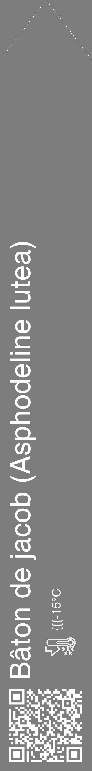 Étiquette de : Asphodeline lutea - format c - style blanche35_simple_simplehel avec qrcode et comestibilité - position verticale