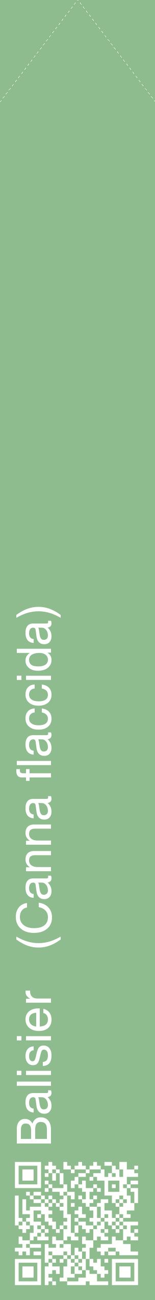Étiquette de : Canna flaccida - format c - style blanche13_simplehel avec qrcode et comestibilité