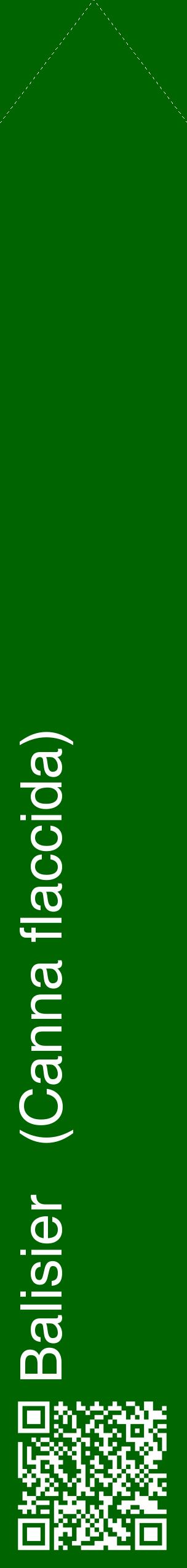 Étiquette de : Canna flaccida - format c - style blanche8_simplehel avec qrcode et comestibilité