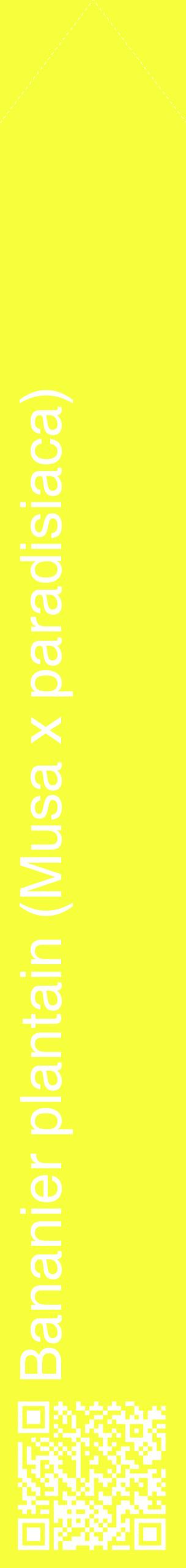 Étiquette de : Musa x paradisiaca - format c - style blanche18_simplehel avec qrcode et comestibilité