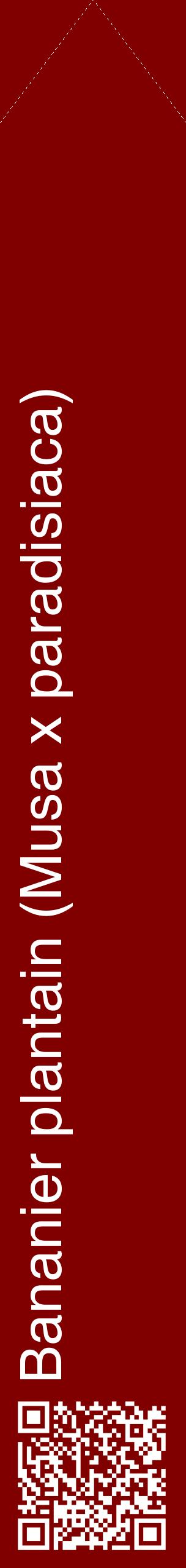 Étiquette de : Musa x paradisiaca - format c - style blanche29_simplehel avec qrcode et comestibilité