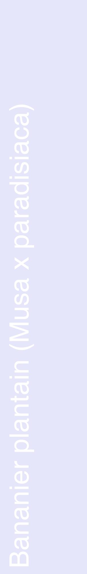 Étiquette de : Musa x paradisiaca - format c - style blanche55_basiquehel avec comestibilité