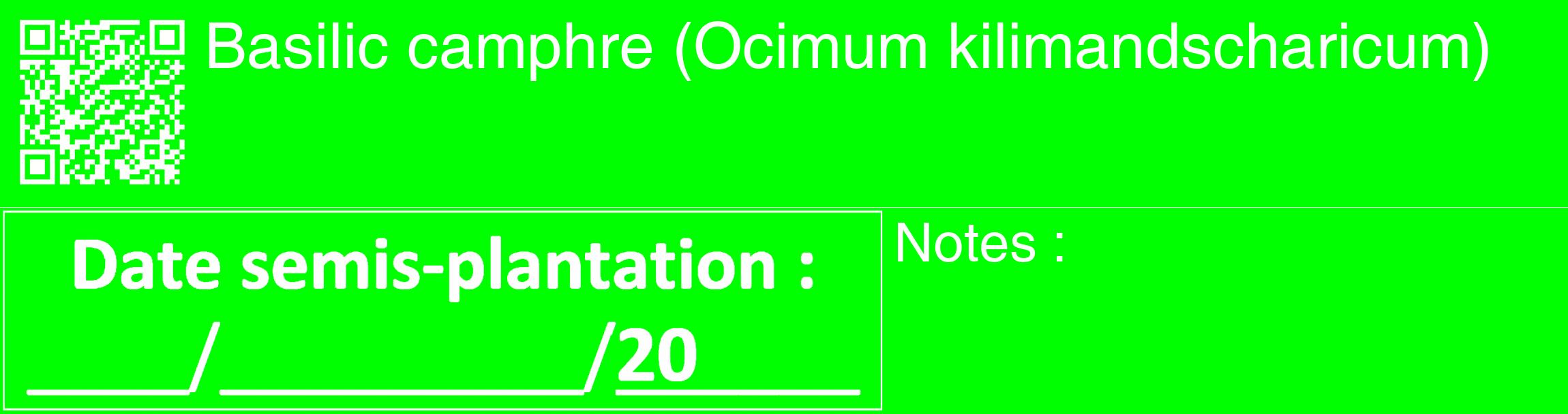 Étiquette de : Ocimum kilimandscharicum - format c - style blanche16_basique_basiquehel avec qrcode et comestibilité