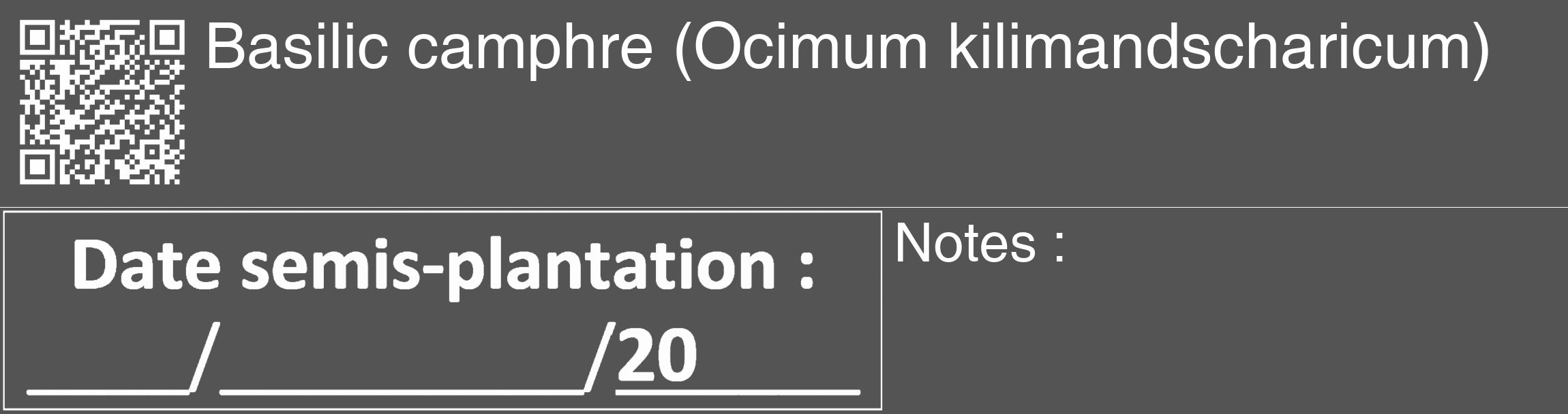 Étiquette de : Ocimum kilimandscharicum - format c - style blanche30_basique_basiquehel avec qrcode et comestibilité
