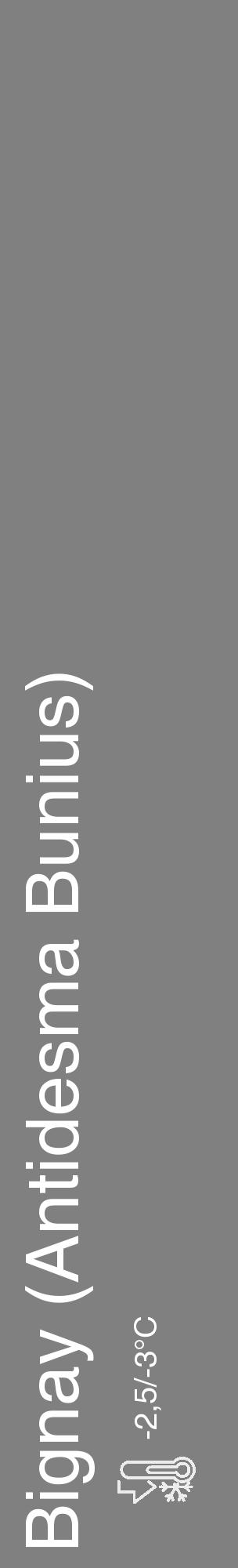 Étiquette de : Antidesma Bunius - format c - style blanche57_basique_basiquehel avec comestibilité - position verticale
