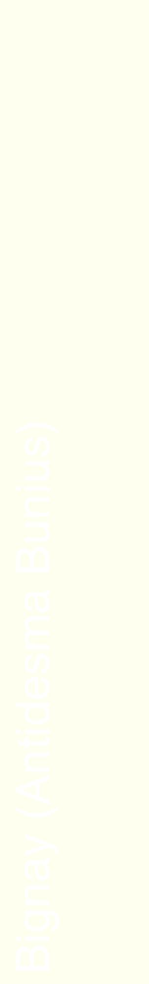 Étiquette de : Antidesma Bunius - format c - style blanche19_basiquehel avec comestibilité