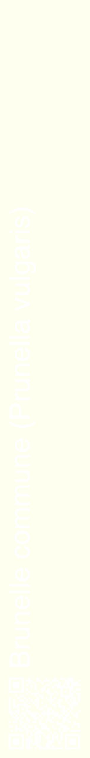 Étiquette de : Prunella vulgaris - format c - style blanche19_simplehel avec qrcode et comestibilité