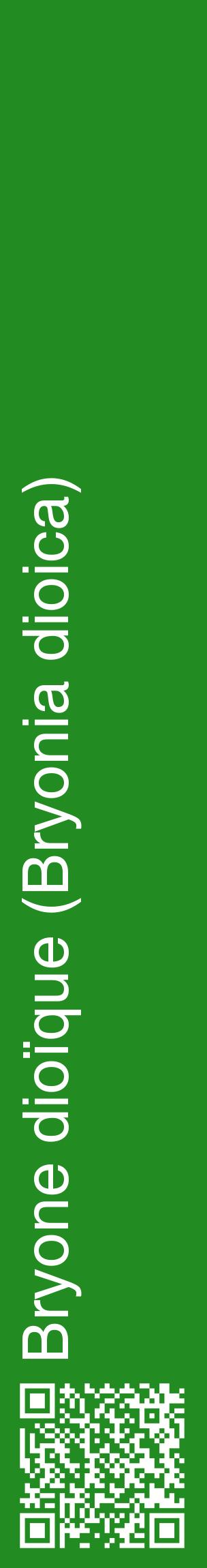 Étiquette de : Bryonia dioica - format c - style blanche10_basiquehel avec qrcode et comestibilité