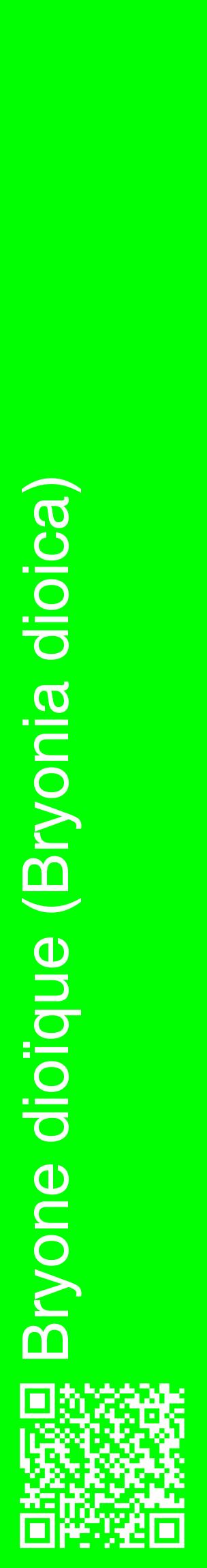 Étiquette de : Bryonia dioica - format c - style blanche16_basiquehel avec qrcode et comestibilité