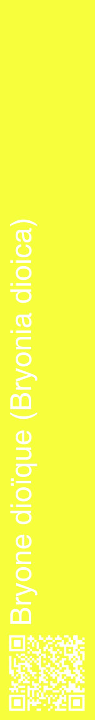 Étiquette de : Bryonia dioica - format c - style blanche18_basiquehel avec qrcode et comestibilité