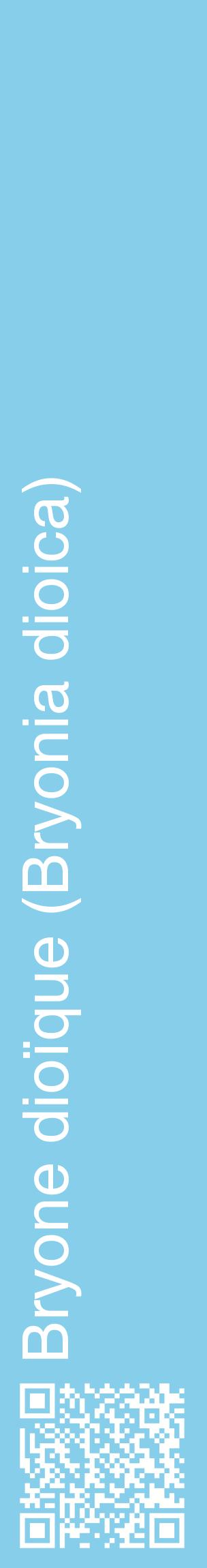 Étiquette de : Bryonia dioica - format c - style blanche1_basiquehel avec qrcode et comestibilité
